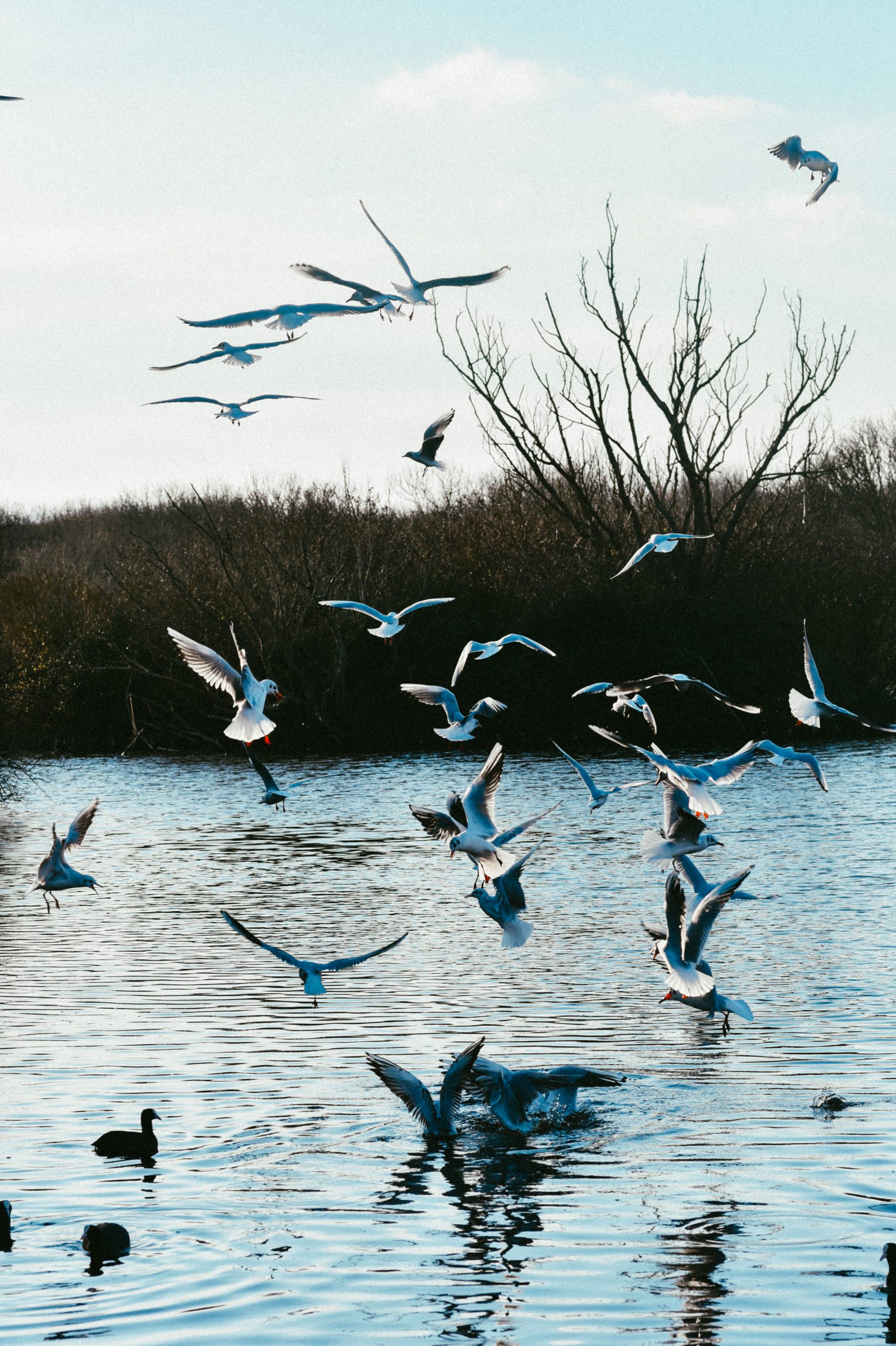 Buiten, in de Zeeuwse natuur