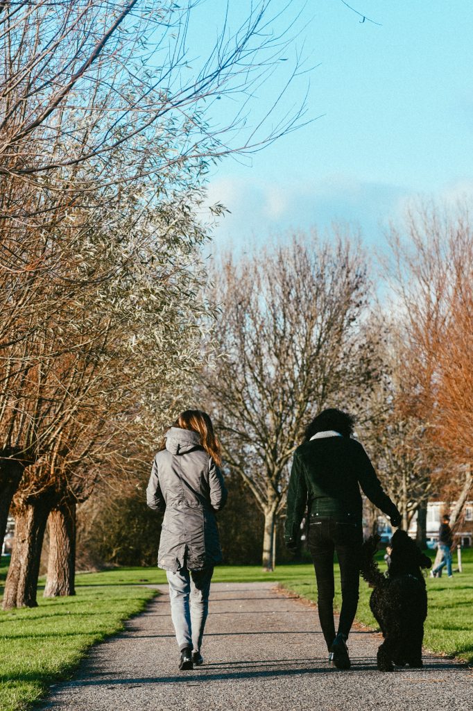 Wandelen met de hond, zoals op de huidige site